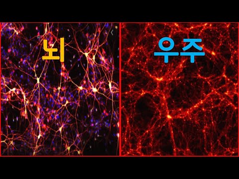 과학자들은 우리의 뇌와 우주의 구조에서 이상한 공통점을 새롭게 발견했습니다.
