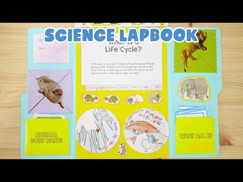 Grade 1 Science ANIMALS LAPBOOK Project | Second Quarter