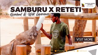 SAMBURU X RETETI 3 DAYS OVERLAND & WILD CAMPING EXPERIENCE