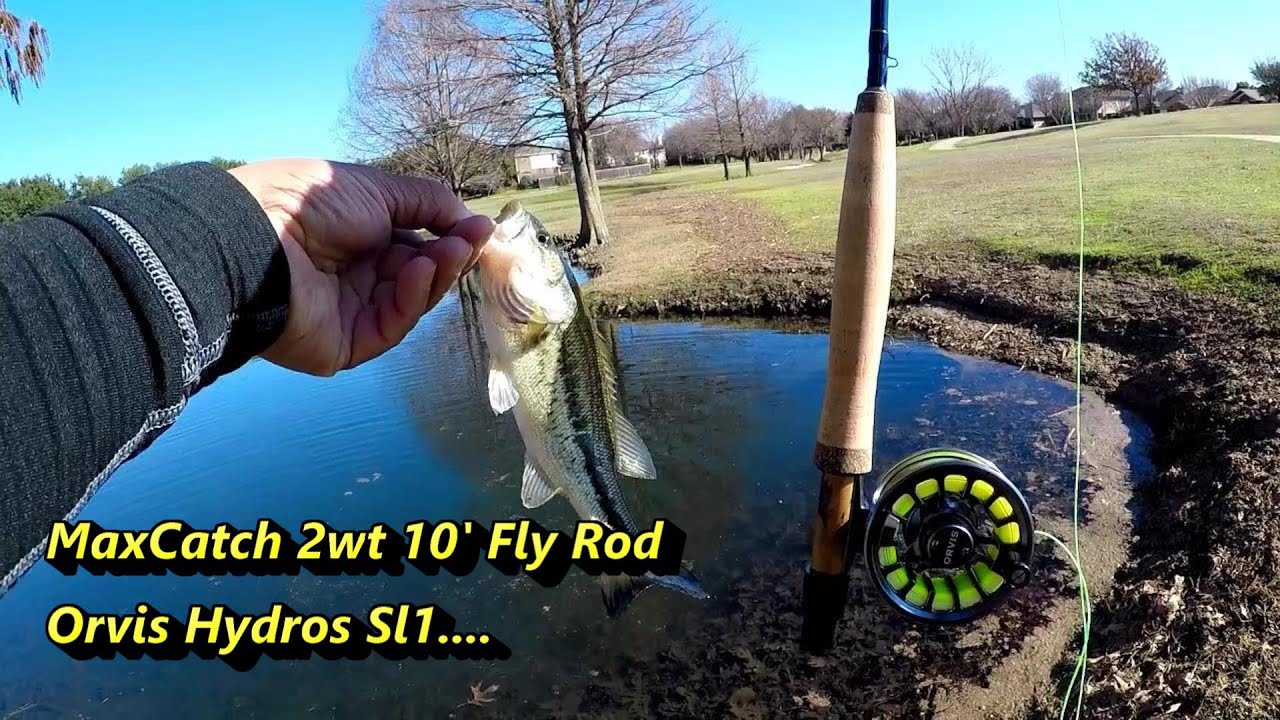 Fishing with the MaxCatch 2wt Fly Rod and Orvis Hydros SL1 #flyfishing  #maxcatch #orvis 