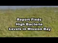 Report finds high bacteria levels in Mission Bay