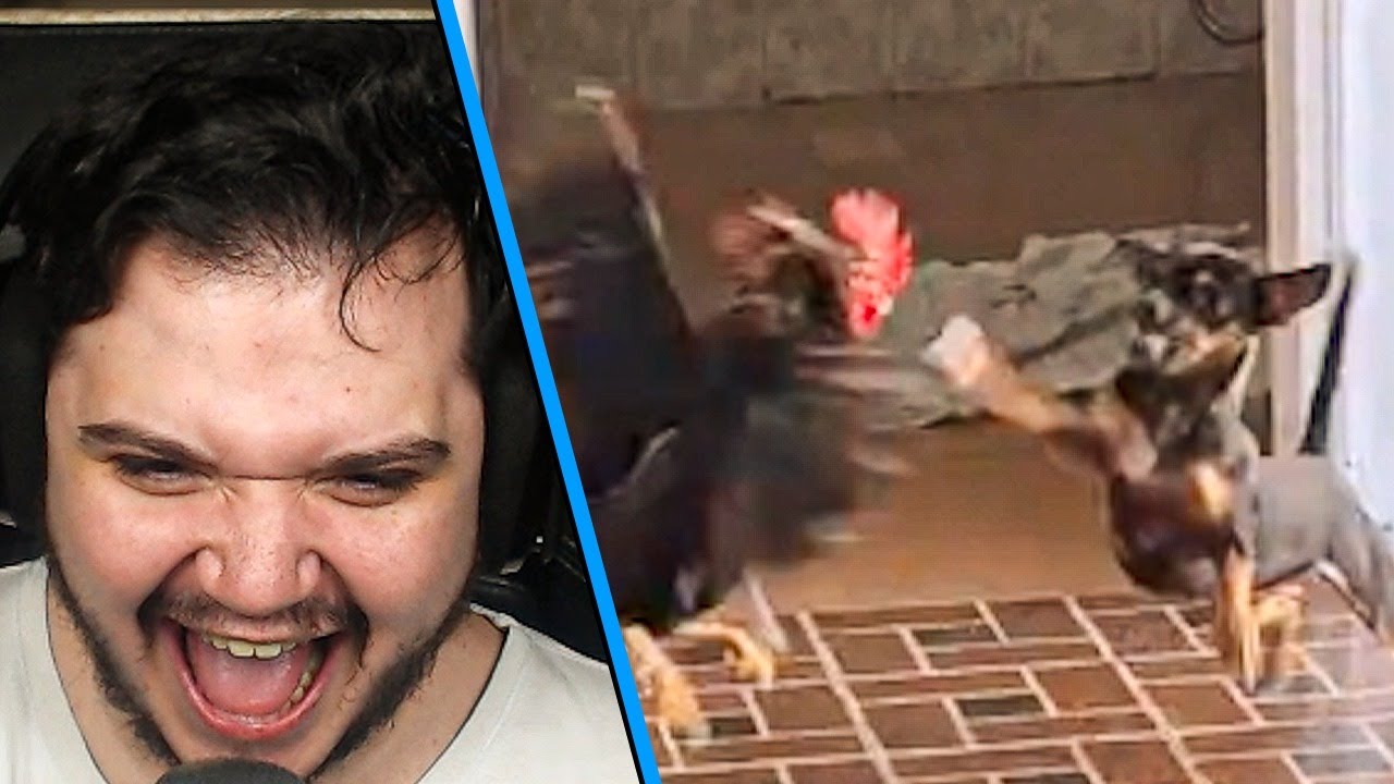 O COMBATE MAIS ÉPICO (Feat. @Renatows Kuro e Udi) - Memes do discord