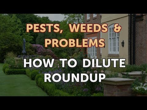 How to Dilute Roundup