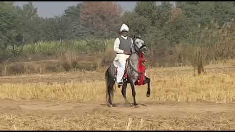 ch asif gujjar  mashaallah