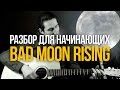 Bad Moon Rising простой разбор для начинающих на акустике - Уроки игры на гитаре Первый Лад
