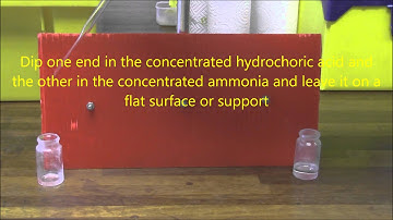 Ammonia HCl Diffusion - Microscale (Student version)