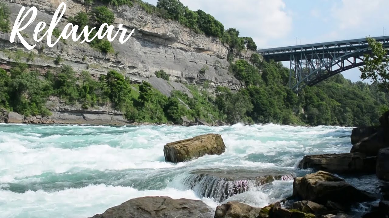 ✅HARMONIA DA NATUREZA♪ Música para RELAXAR e ACALMAR