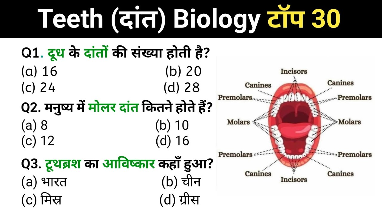 मानव दांत | Human Teeth | one liner question | gk&gs