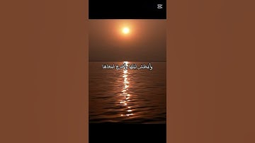 تلاوه خاشعه للشيخ احمد عبد الله شعبان
