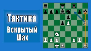 Хитрый Шах для выигрыша фигур♟️| Шахматная Тактика (Урок 11)
