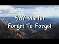 SHY Martin - Forget To Forget (Lyrics)