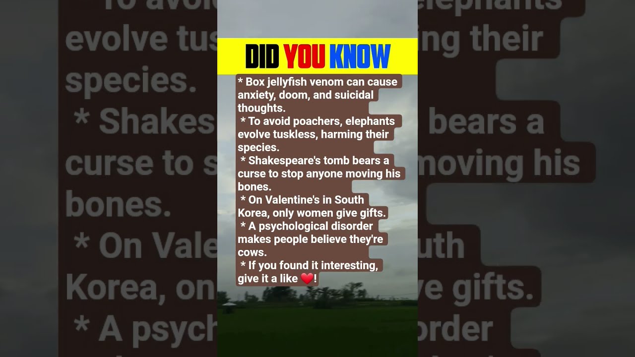 There Is No End To Knowledge Learn These Fun And Strange Facts 