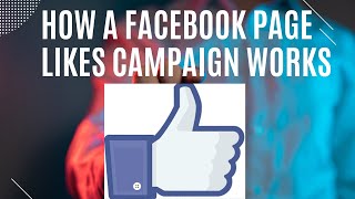 How A Facebook Page Likes Campaign Works