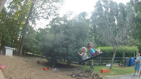 Double rope tree swing with interchangeable seats installed by Piedmont Tree Climbing