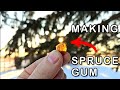Natural EVERLASTING GUM the BILLION $ GUM Industry Doesn't Want U to Know...