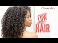How to Moisturize Low Porosity Hair | Overview