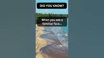 The Incredible Brain