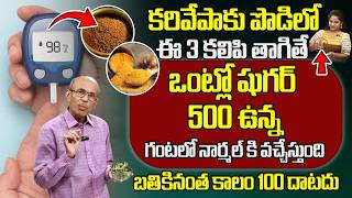 షుగర్ గంటలో నార్మల్ కి వచ్చేస్తుంది | Diabetes Control Tips In Telugu | Dr  Ch Madhusudana Sarma