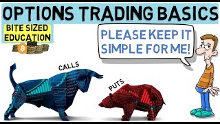 Options Trading For Beginners  The Basics