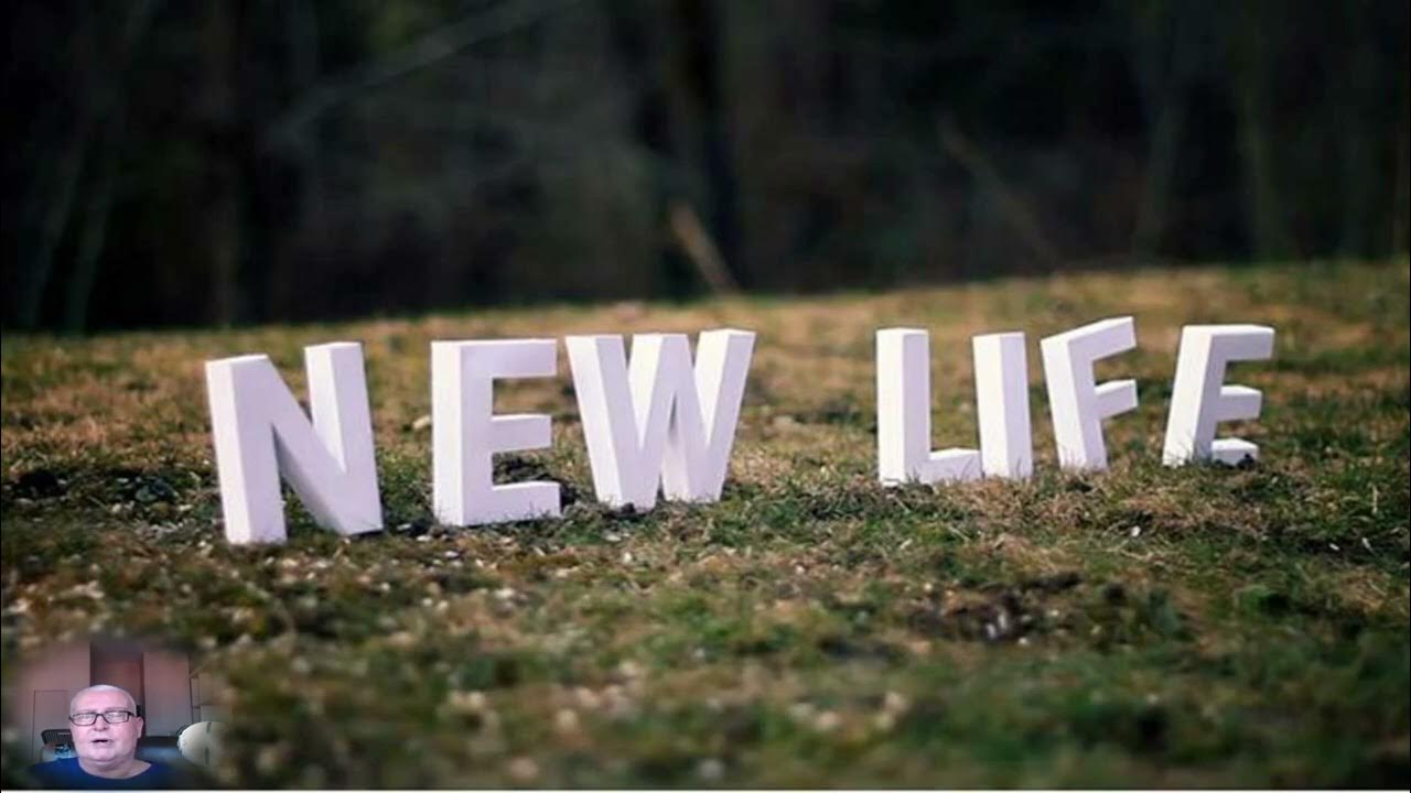 Its new life. The New Life. New Life картинки. New Life надпись. Логотип New Life.