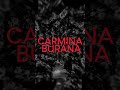 Symphony Of Beats - Carmina Burana