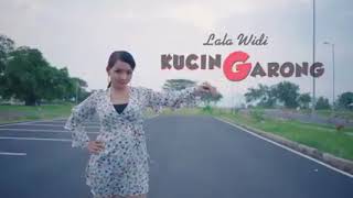 Lala widy kucing garong