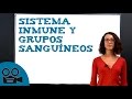 Sistema inmune y grupos sanguíneos