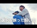 【犬7頭と暮らすおっさん】愛犬が喜ぶと思ったけど失敗でした【愛犬の誕生日】