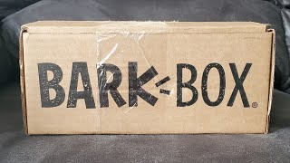 Unboxing Barkbox W/ Max | Miniature Schnauzer
