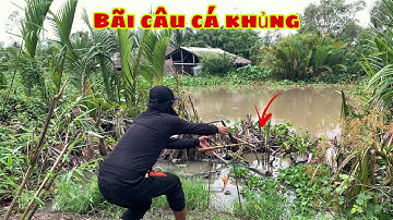 Câu Cá Tra Sông - Chỗ Nào Ục Cá Ăn Liên Tục Có Dính Là Được | Fishing - Miền Tây