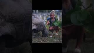 What Happens When Kids Meet Giant Tortoises?