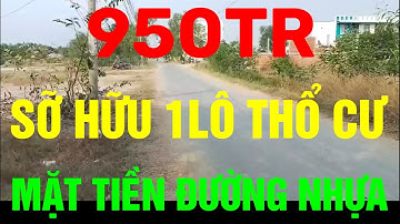 (Ms 167♥️Đã Bán) Lô Thổ Cư SHR Mặt Tiền Đường Phước Lâm, Trường Bình, Cần Giuộc | Bđs Long An