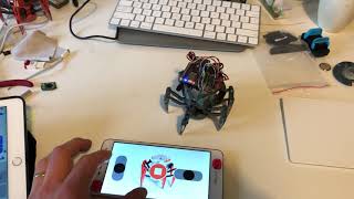 Famous RC HEXBUG Battle Spider Net Worth