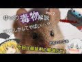ゆっくり毒物vol.7～モノフルオロ酢酸～【ゆっくり解説】