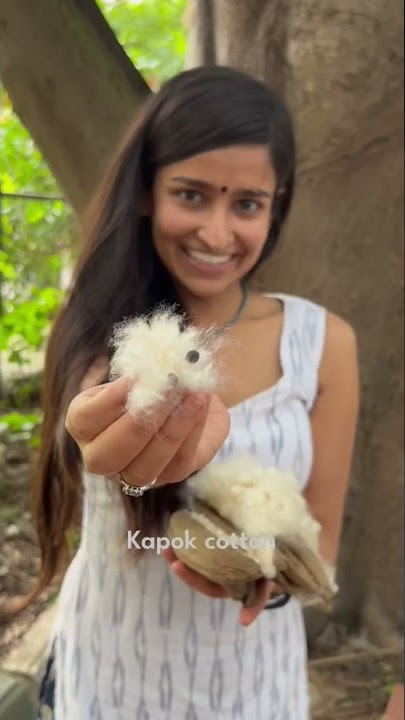 Ever seen Kapok Cotton from the tree? 🧶