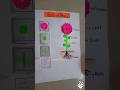 science tlm for 6 to 8 working model #shortsvideo