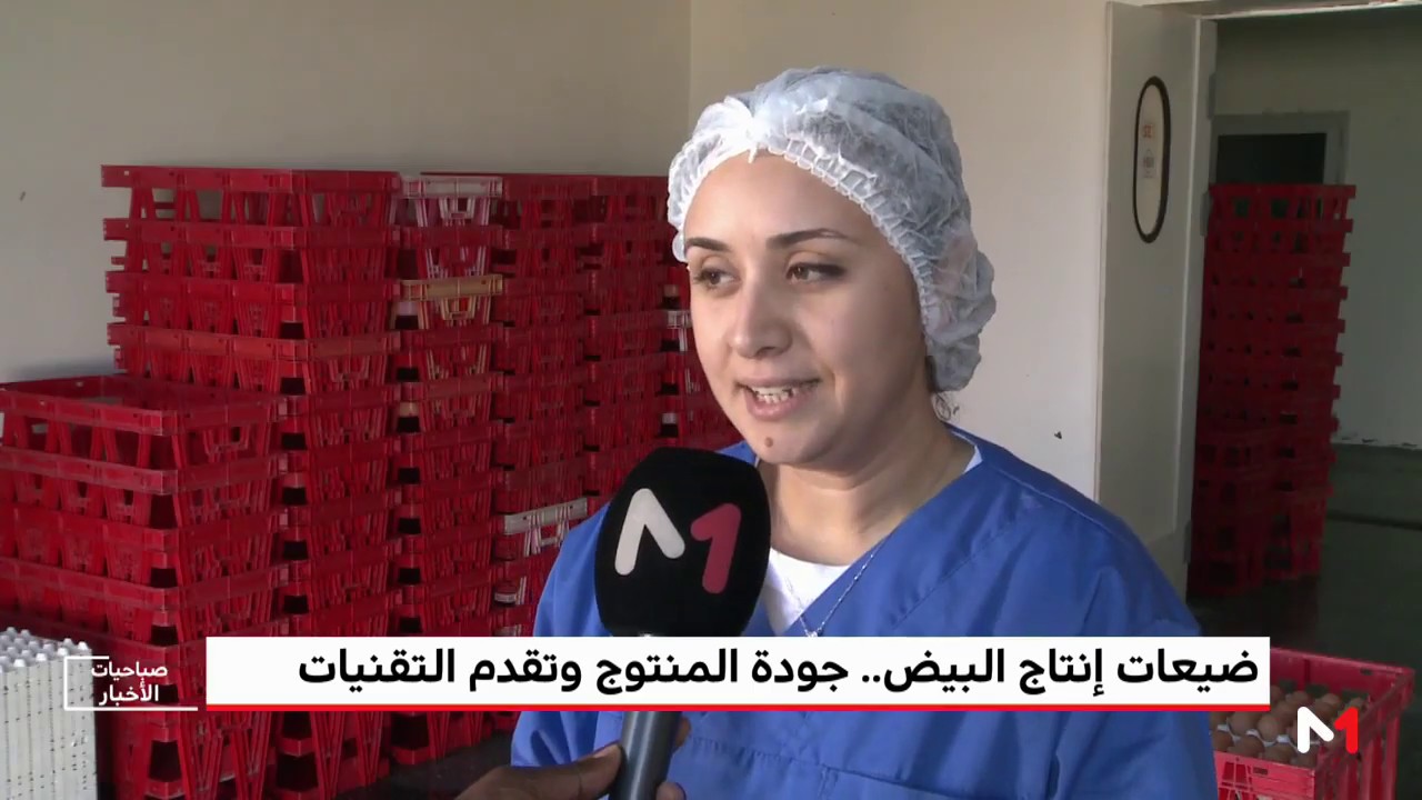 روبورتاج .. ضيعات إنتاج البيض .. جودة المنتوج وتقدم التقنيات