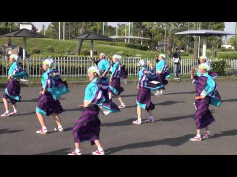 よさこい鳴子連今日一屋（よさこい夢まつり2016）本祭一日目・岸壁会場②