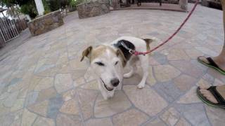 - Arriving In Mulege The Hotel Serenidad