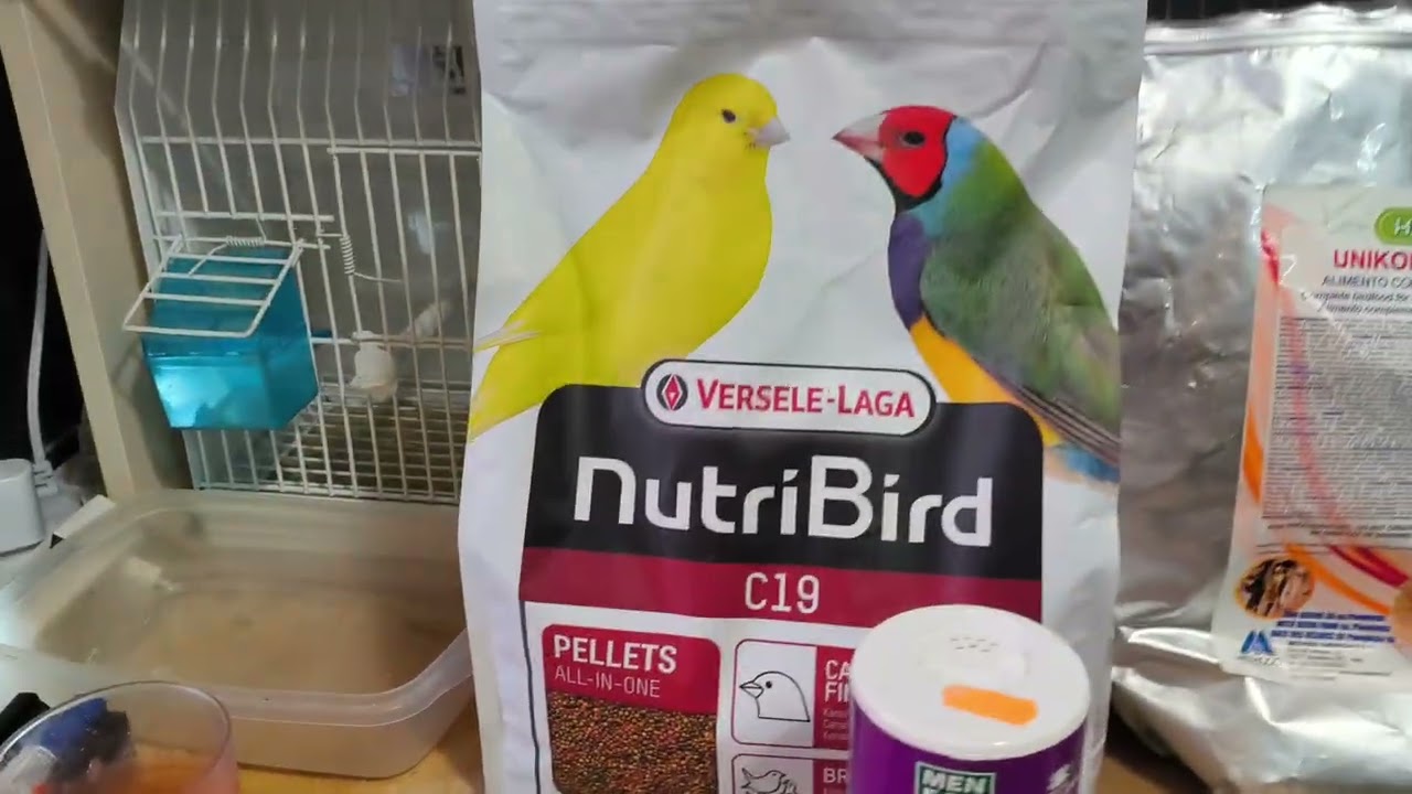 Así está mi aviario y lo que yo utilizo