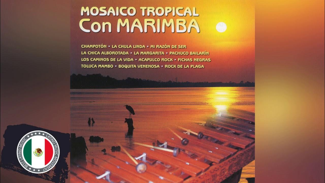 POPURRI MARIMBA TROPICAL LO MEJOR MARIMBA TROPICALES MARIMBA DE TROPICAL EXITOS DE MARIMBA