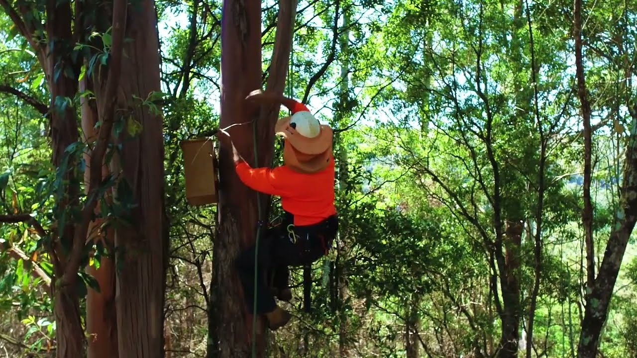 Installing Nest Boxes