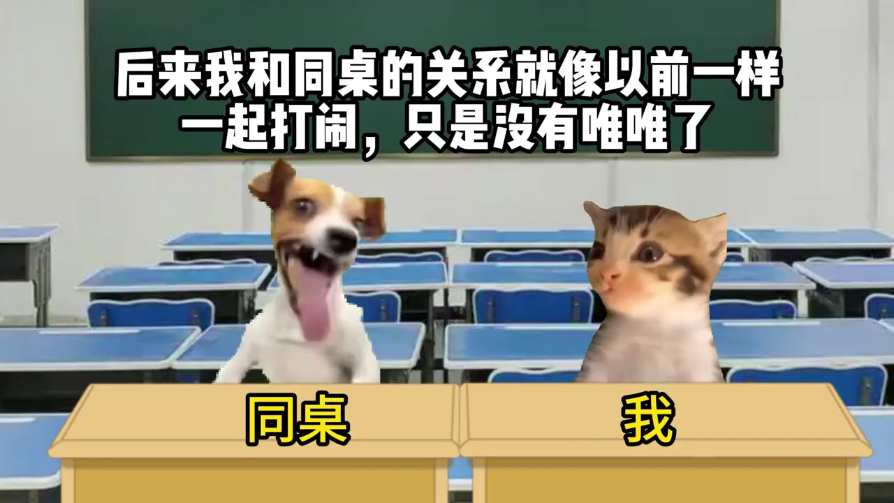 同学靠我身上 最后直接当众表白！！！#有趣 #故事 #貓 #猫猫meme小剧场 #猫meme #内容过于真实  #猫meme剧场 #喵不可言