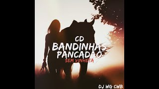 CD BANDINHAS PANCADÃO SEM VINHETA DJ WG CWB