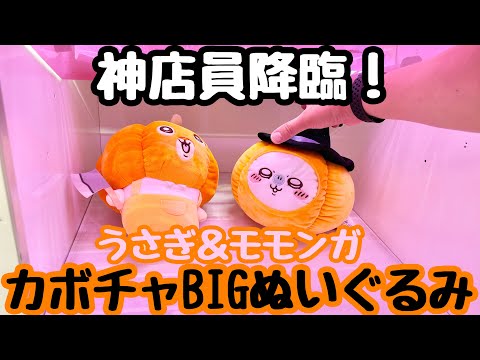 ちいかわ】神店員降臨！二本爪の実力機でちいかわBIGぬいぐるみ
