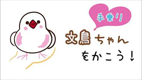 Download 小鳥 イラスト かわいい Mp4 Mp3