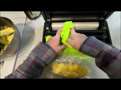 Full Review Anova Precision Vacuum Sealer Pro