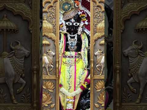 જય રણછોડરાયજી 🦚