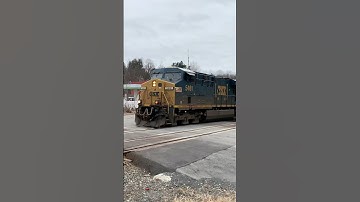 CSX Seaboard System Sticker Unit Leads Triple Crown Trailer