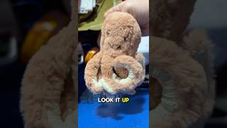 I found a Jellycat plush to sell for profit #goodwillbins #mercariseller #sidehustle #reselling